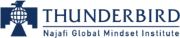 Thunderbird Global Mindset Inventory.